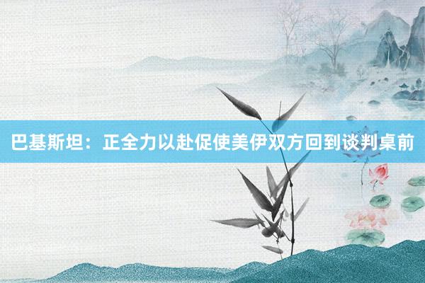 巴基斯坦：正全力以赴促使美伊双方回到谈判桌前