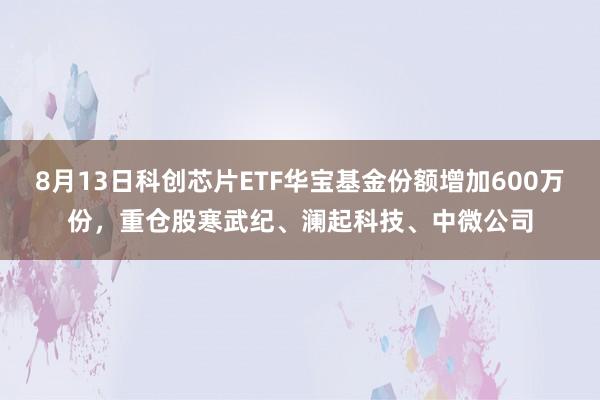 8月13日科创芯片ETF华宝基金份额增加600万份，重仓股寒武纪、澜起科技、中微公司