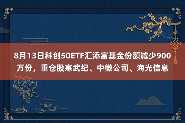 8月13日科创50ETF汇添富基金份额减少900万份，重仓股寒武纪、中微公司、海光信息