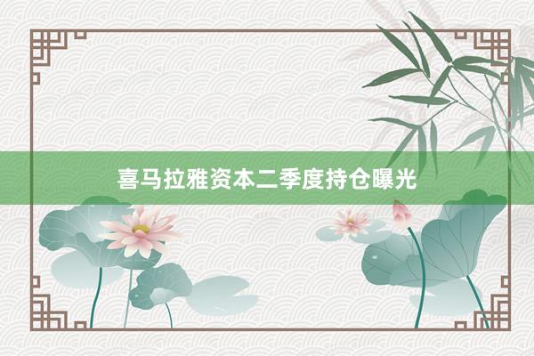 喜马拉雅资本二季度持仓曝光