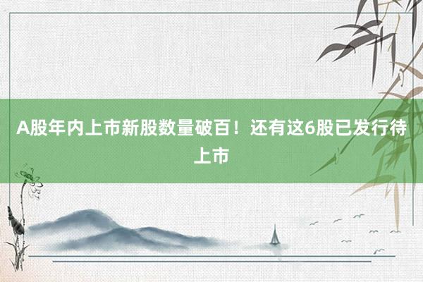 A股年内上市新股数量破百！还有这6股已发行待上市