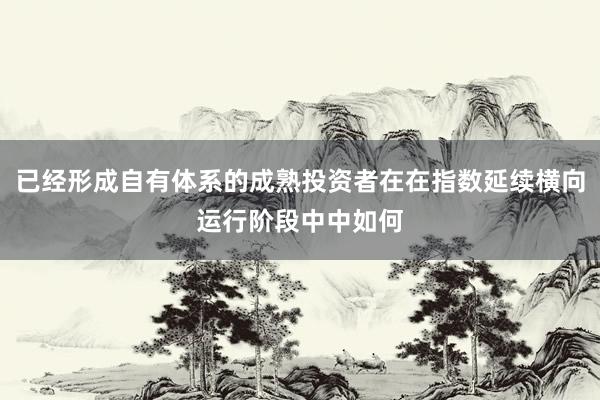已经形成自有体系的成熟投资者在在指数延续横向运行阶段中中如何