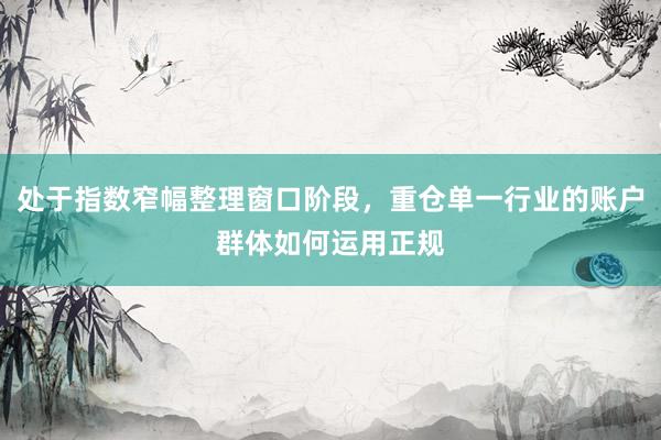 处于指数窄幅整理窗口阶段，重仓单一行业的账户群体如何运用正规